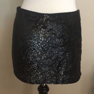 Haute hippie sequin skirt
